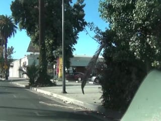 Slutty Pornstar Jamie Foster Is Dreaming Of A Tense Shagging