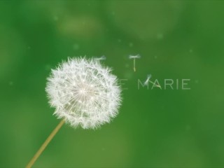 Elegant Dish Sofie Marie Needs To Massage Her Kitty