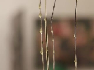 Lusty Missy Asa Akira Has A Silky Snatch